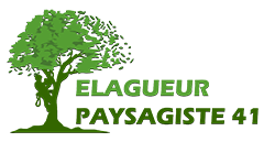 elagage-elagueur-paysagiste-41